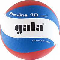 Волейбольный мяч GALA Pro-Line 10 BV5581S р.5 белый-голубой-красный